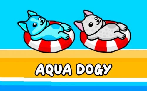 Aqua Dogy: Water Park Slide Adventure