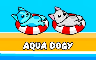 Aqua Dogy: Water Park Slide Adventure