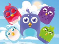 Bird Match Master Online Puzzle Game