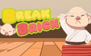 Break The Brick: Martial Arts Challenge Arcade Game