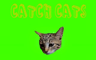 Catch Cats - Fun Cat Catching Game