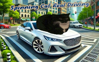 Spinning Cat Real Driving - Open World Car Game