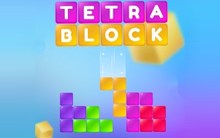 Tetra Blocks Puzzle Game