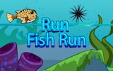 Run Fish Run: Endless Runner Online Game - Arcade Game
