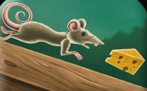 Maze Cheese Dash - Cat & Mouse Puzzle