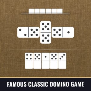 Domino Match Tile Puzzle