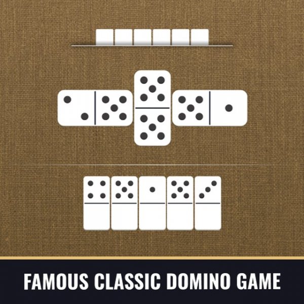 Domino Match Tile Puzzle
