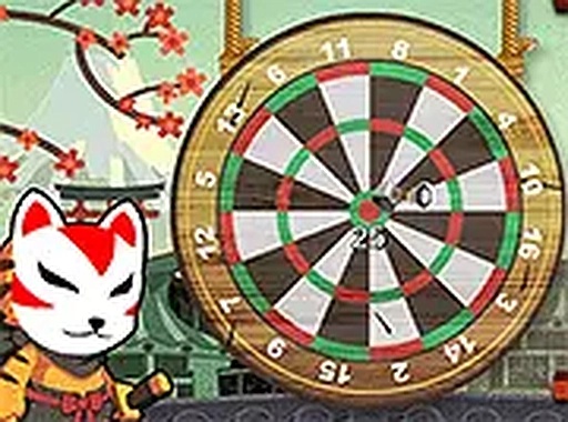 Ninja Star Target Challenge
