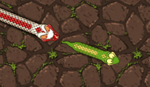 Snake Attack Online Arcade Game